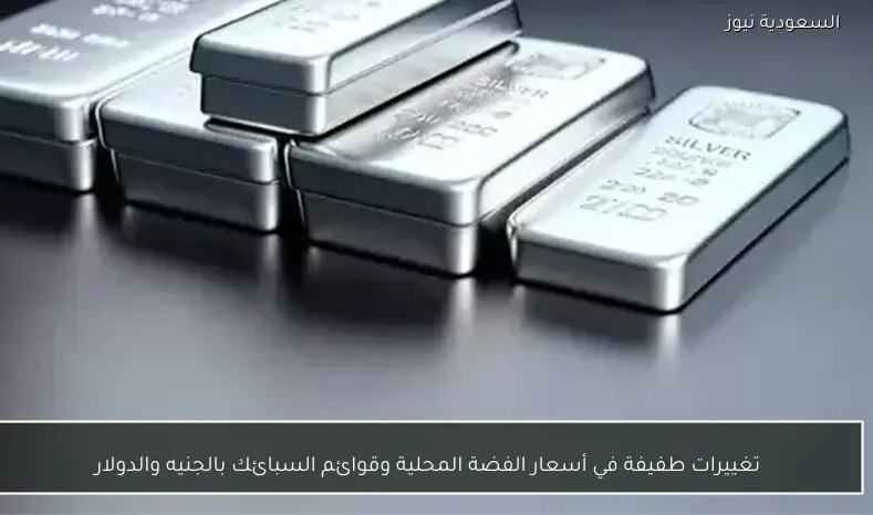 تغييرات طفيفة في أسعار الفضة المحلية وقوائم السبائك بالجنيه والدولار