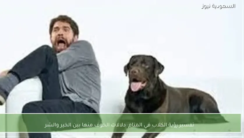 تفسير رؤية الكلاب في المنام: دلالات الخوف منها بين الخير والشر