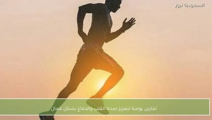 تمارين يومية لتعزيز صحة القلب والدماغ بشكل فعال