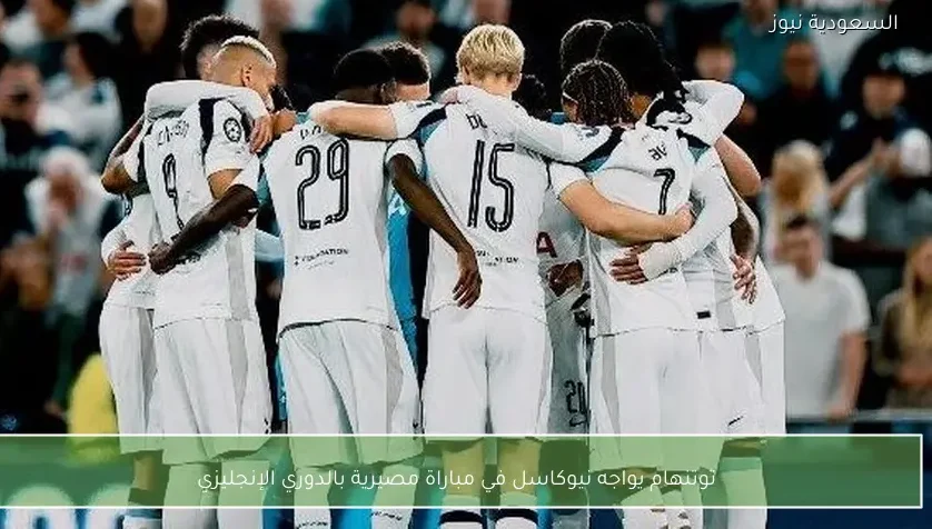 توتنهام يواجه نيوكاسل في مباراة مصيرية بالدوري الإنجليزي