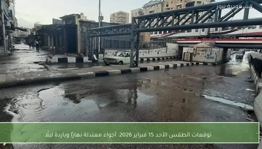 توقعات الطقس الأحد 15 فبراير 2026: أجواء معتدلة نهارًا وباردة ليلًا