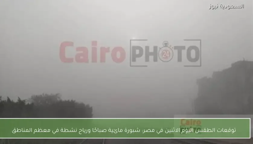 توقعات الطقس اليوم الاثنين في مصر: شبورة مائية صباحًا ورياح نشطة في معظم المناطق