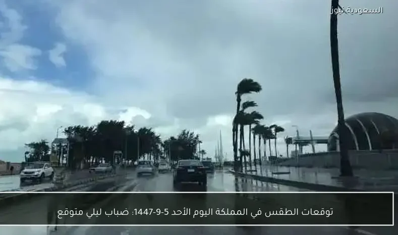 توقعات الطقس في المملكة اليوم الأحد 5-9-1447: ضباب ليلي متوقع