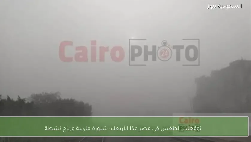 توقعات الطقس في مصر غدًا الأربعاء: شبورة مائية ورياح نشطة