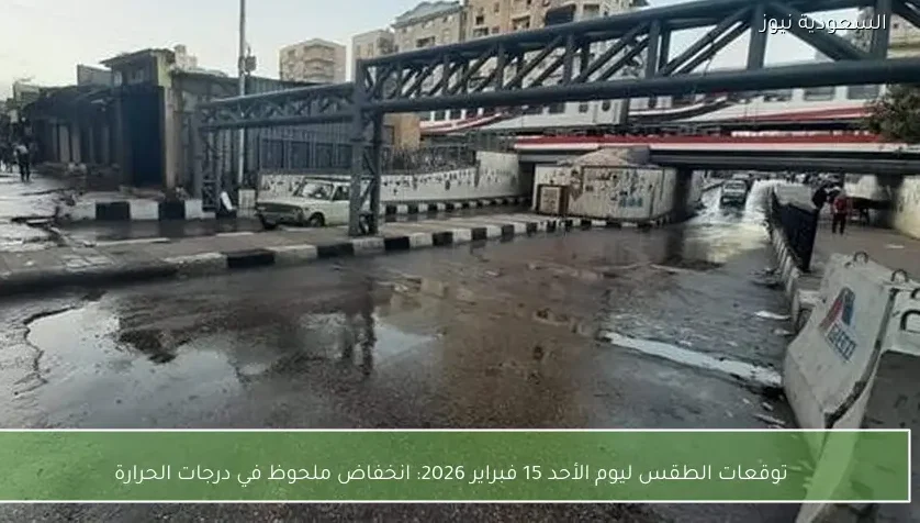 توقعات الطقس ليوم الأحد 15 فبراير 2026: انخفاض ملحوظ في درجات الحرارة