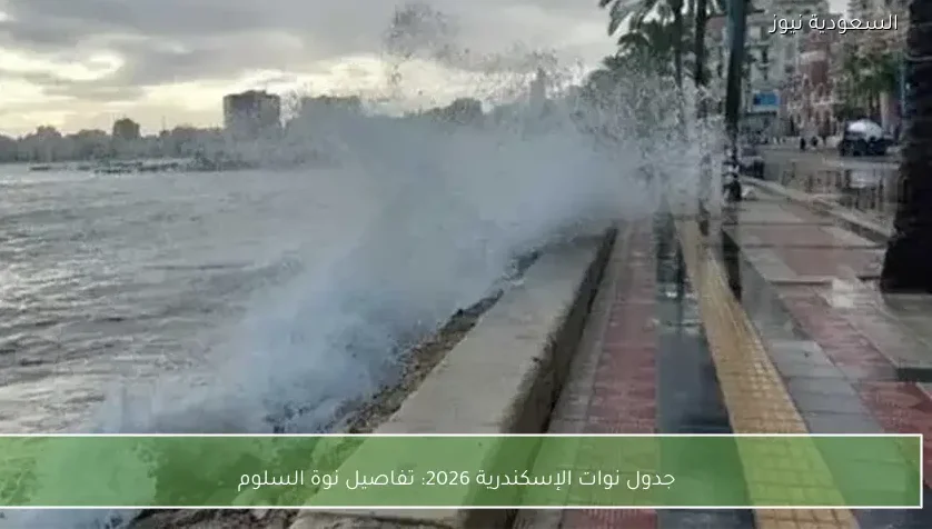 جدول نوات الإسكندرية 2026: تفاصيل نوة السلوم