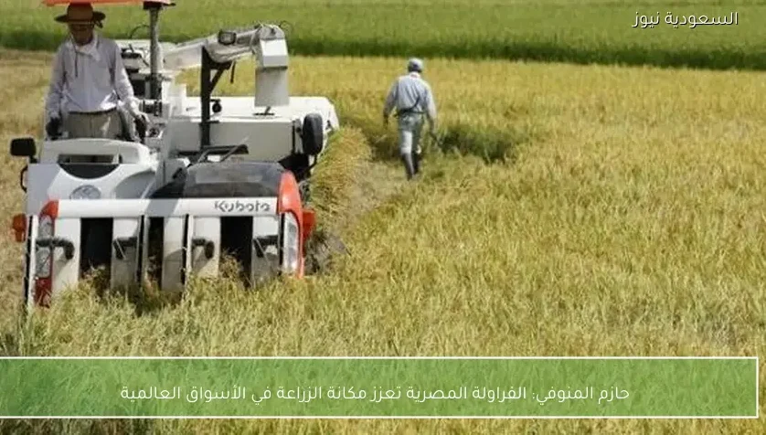 حازم المنوفي: الفراولة المصرية تعزز مكانة الزراعة في الأسواق العالمية