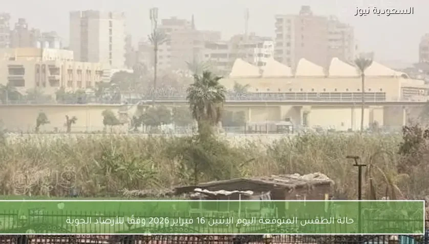 حالة الطقس المتوقعة اليوم الإثنين 16 فبراير 2026 وفقًا للأرصاد الجوية