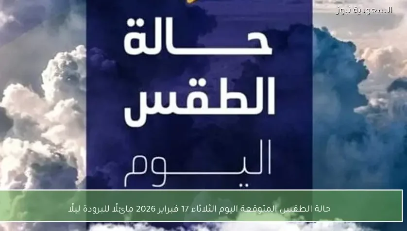 حالة الطقس المتوقعة اليوم الثلاثاء 17 فبراير 2026 مائلًا للبرودة ليلًا