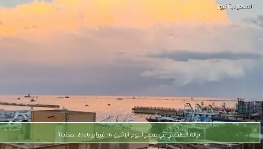 حالة الطقس في مصر اليوم الإثنين 16 فبراير 2026 معتدلة