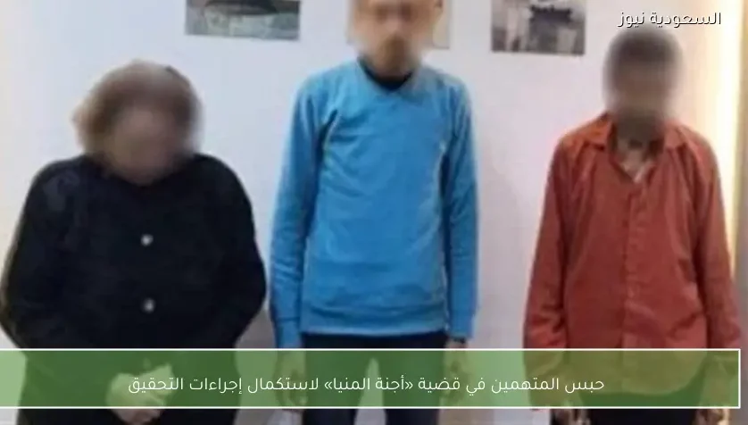 حبس المتهمين في قضية «أجنة المنيا» لاستكمال إجراءات التحقيق