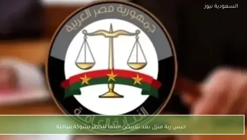 حبس ربة منزل بعد تعريض ابنتها للخطر بشوكة ساخنة