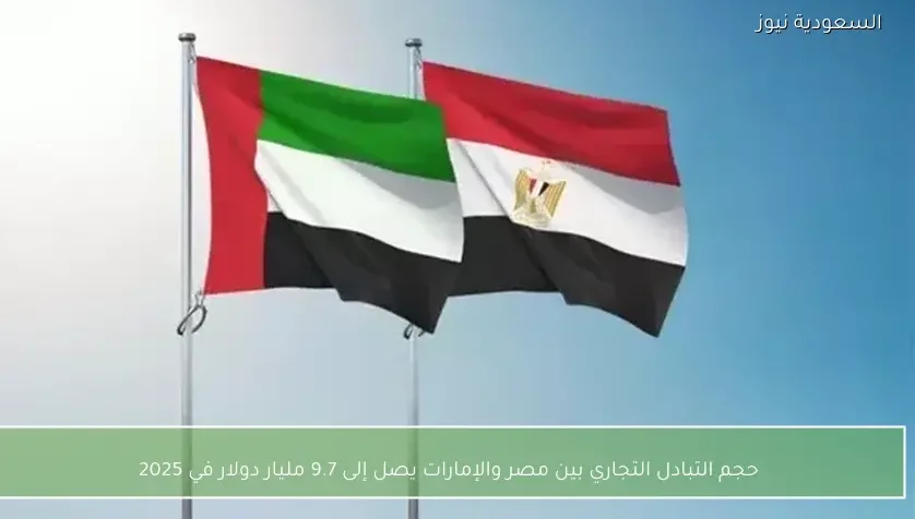 حجم التبادل التجاري بين مصر والإمارات يصل إلى 9.7 مليار دولار في 2025