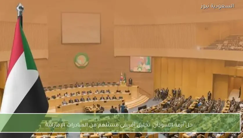 حل أزمة السودان: تحليل أفريقي مستلهم من المبادرات الإماراتية