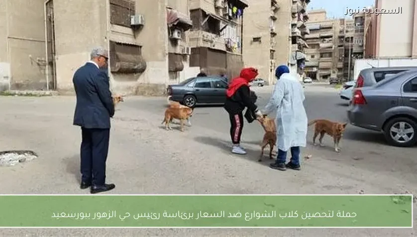 حملة لتحصين كلاب الشوارع ضد السعار برئاسة رئيس حي الزهور ببورسعيد