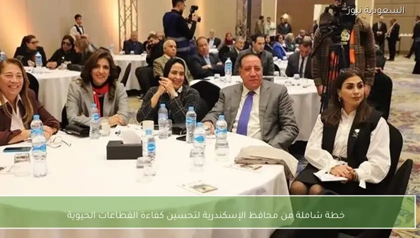 خطة شاملة من محافظ الإسكندرية لتحسين كفاءة القطاعات الحيوية