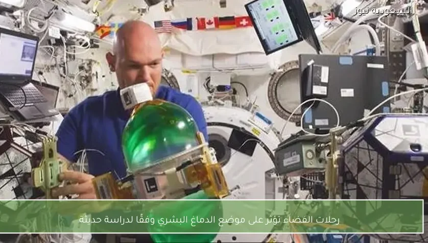 رحلات الفضاء تؤثر على موضع الدماغ البشري وفقًا لدراسة حديثة