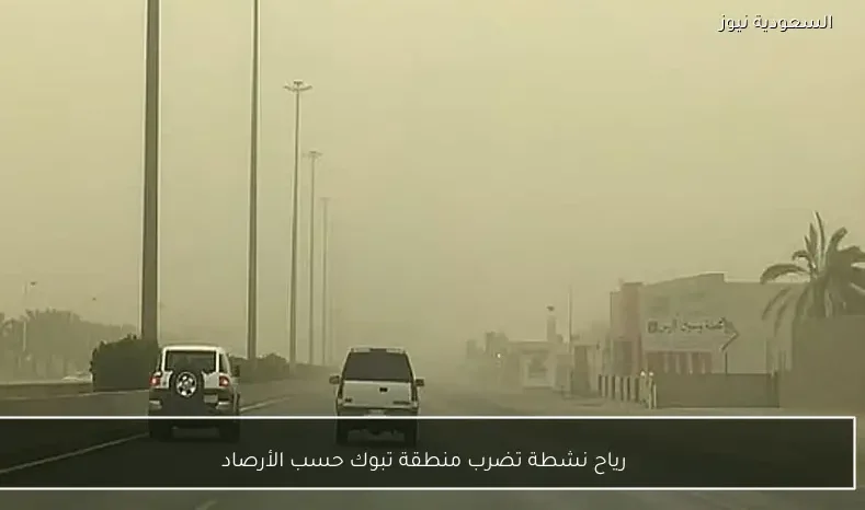 رياح نشطة تضرب منطقة تبوك حسب الأرصاد