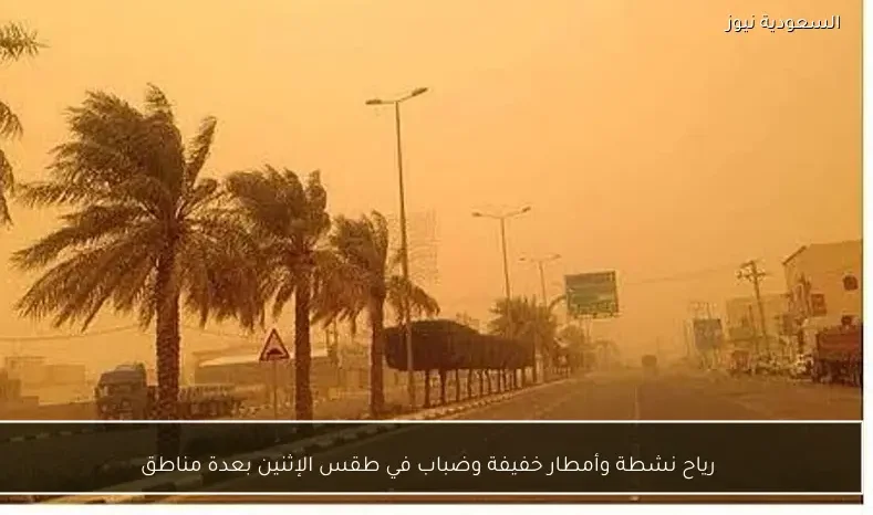 رياح نشطة وأمطار خفيفة وضباب في طقس الإثنين بعدة مناطق