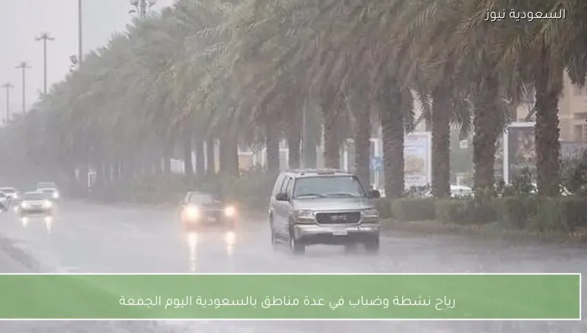 رياح نشطة وضباب في عدة مناطق بالسعودية اليوم الجمعة