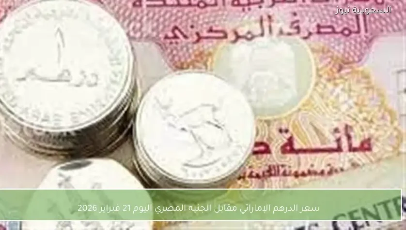 سعر الدرهم الإماراتي مقابل الجنيه المصري اليوم 21 فبراير 2026