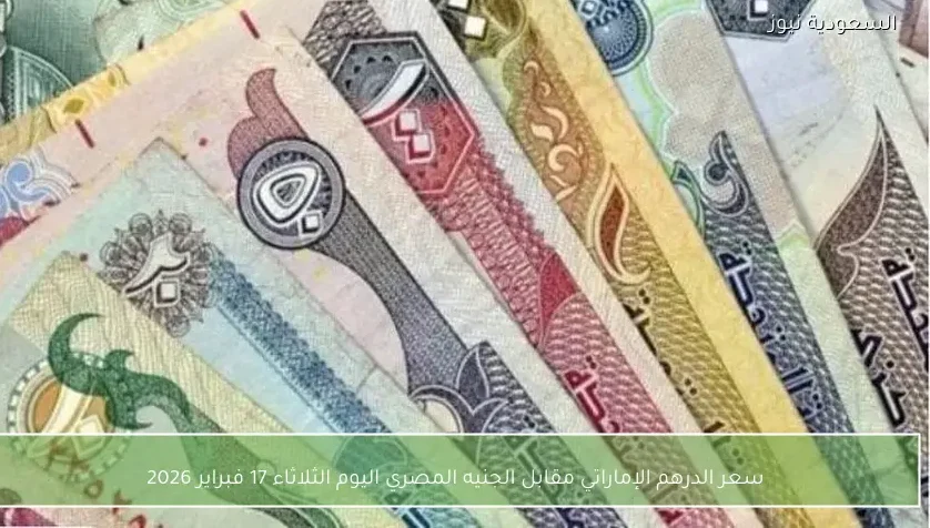 سعر الدرهم الإماراتي مقابل الجنيه المصري اليوم الثلاثاء 17 فبراير 2026