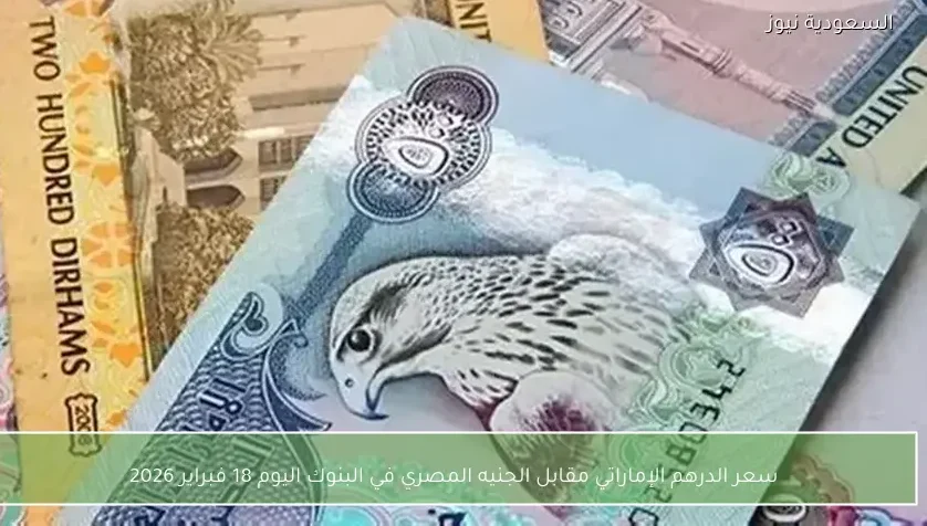 سعر الدرهم الإماراتي مقابل الجنيه المصري في البنوك اليوم 18 فبراير 2026