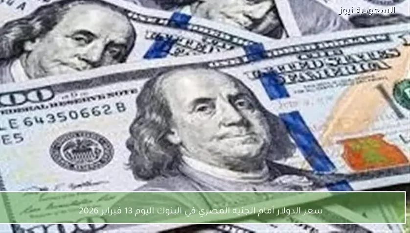 سعر الدولار أمام الجنيه المصري في البنوك اليوم 13 فبراير 2026