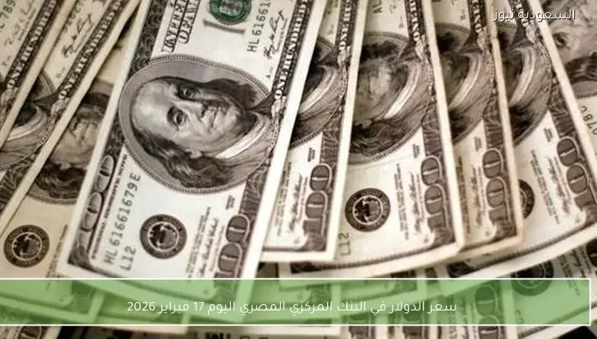 سعر الدولار في البنك المركزي المصري اليوم 17 فبراير 2026