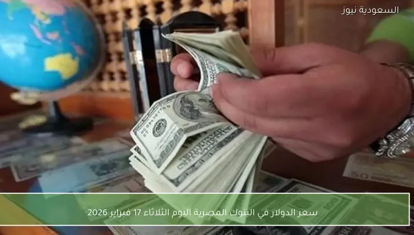 سعر الدولار في البنوك المصرية اليوم الثلاثاء 17 فبراير 2026