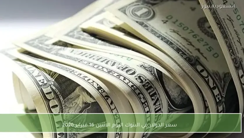 سعر الدولار في البنوك اليوم الاثنين 16 فبراير 2026
