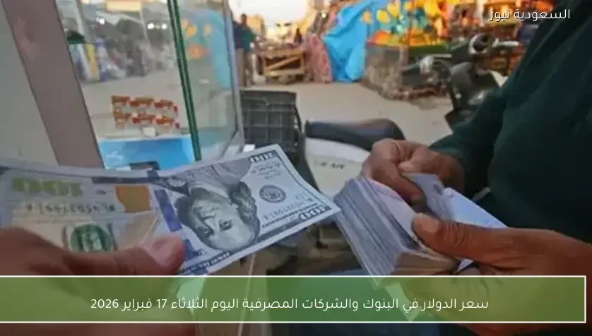 سعر الدولار في البنوك والشركات المصرفية اليوم الثلاثاء 17 فبراير 2026