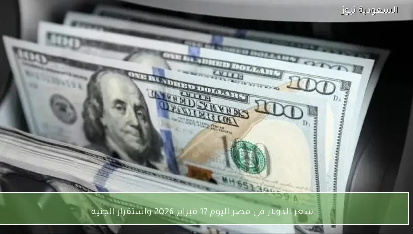 سعر الدولار في مصر اليوم 17 فبراير 2026 واستقرار الجنيه