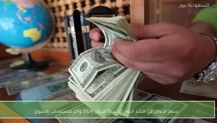 سعر الدولار في مصر اليوم الأحد 15 فبراير 2026 وآخر مستجدات السوق