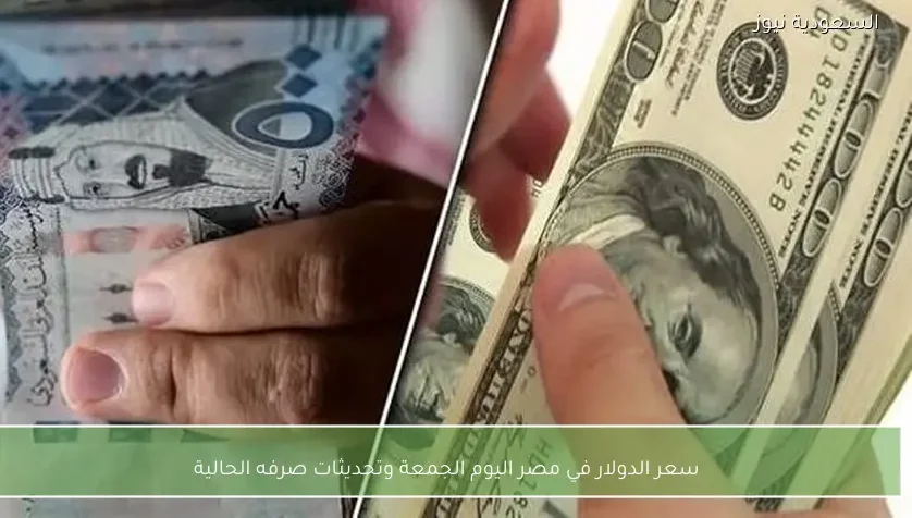 سعر الدولار في مصر اليوم الجمعة وتحديثات صرفه الحالية