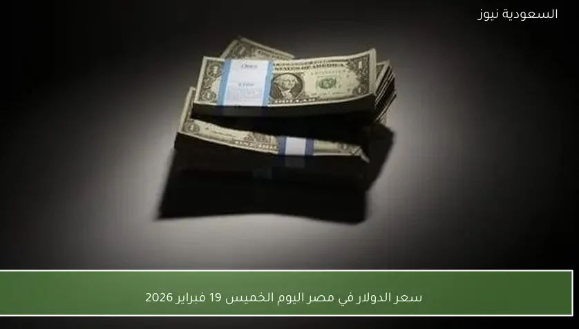 سعر الدولار في مصر اليوم الخميس 19 فبراير 2026