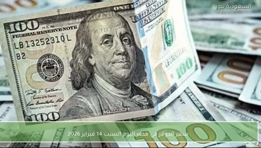 سعر الدولار في مصر اليوم السبت 14 فبراير 2026
