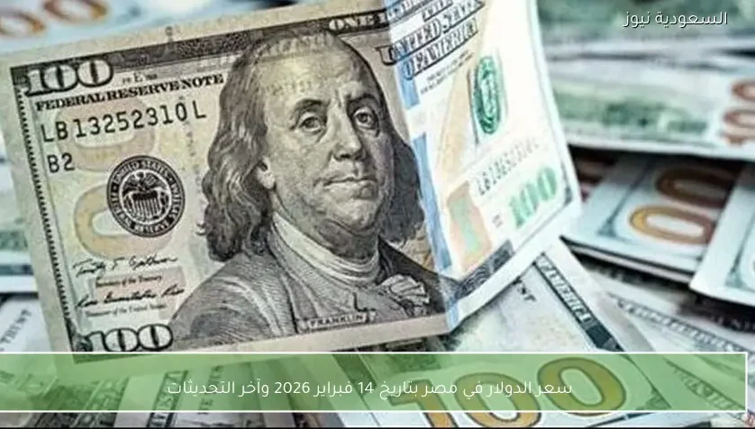 سعر الدولار في مصر بتاريخ 14 فبراير 2026 وآخر التحديثات