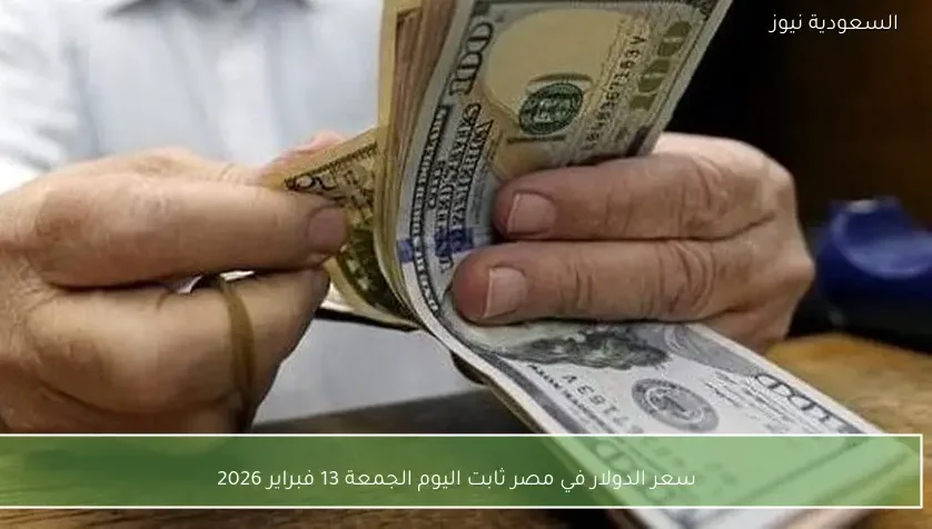 سعر الدولار في مصر ثابت اليوم الجمعة 13 فبراير 2026