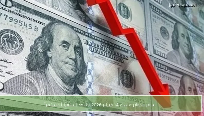 سعر الدولار مساء 14 فبراير 2026 يشهد استقراراً مستمراً