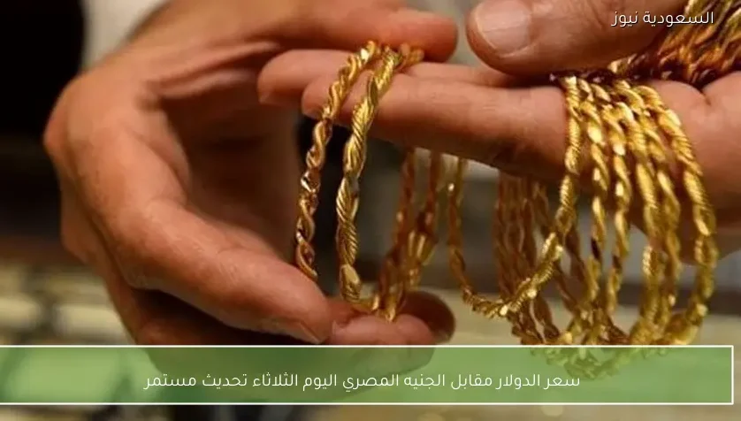 سعر الدولار مقابل الجنيه المصري اليوم الثلاثاء تحديث مستمر