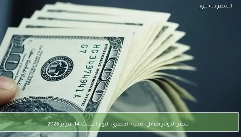 سعر الدولار مقابل الجنيه المصري اليوم السبت 14 فبراير 2026