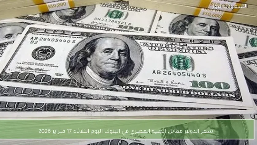 سعر الدولار مقابل الجنيه المصري في البنوك اليوم الثلاثاء 17 نوفمبر 2026