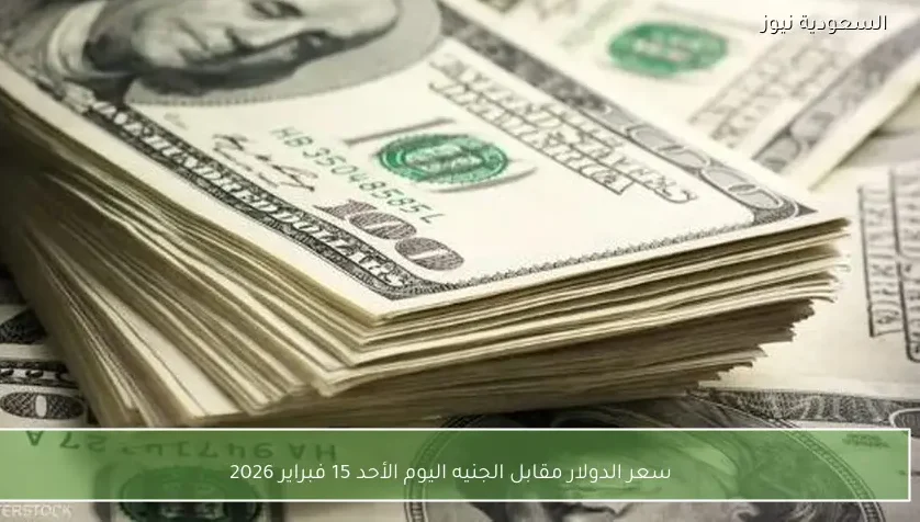 سعر الدولار مقابل الجنيه اليوم الأحد 15 فبراير 2026