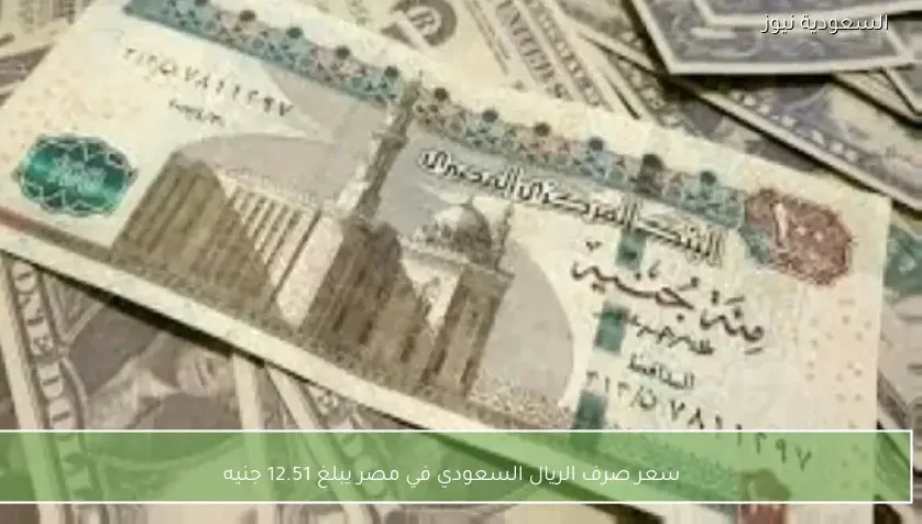 سعر صرف الريال السعودي في مصر يبلغ 12.51 جنيه