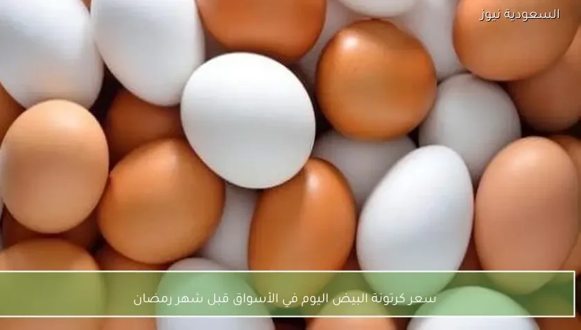 سعر كرتونة البيض اليوم في الأسواق قبل شهر رمضان