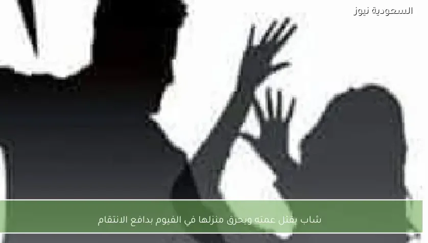 شاب يقتل عمته ويحرق منزلها في الفيوم بدافع الانتقام