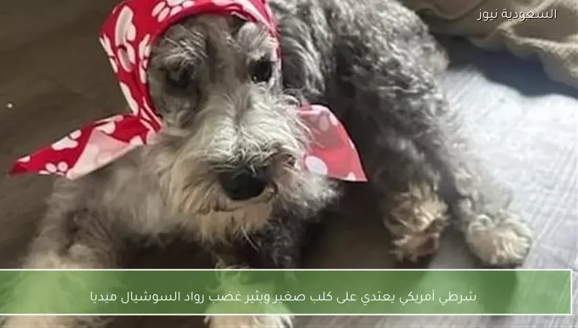 شرطي أمريكي يعتدي على كلب صغير ويثير غضب رواد السوشيال ميديا