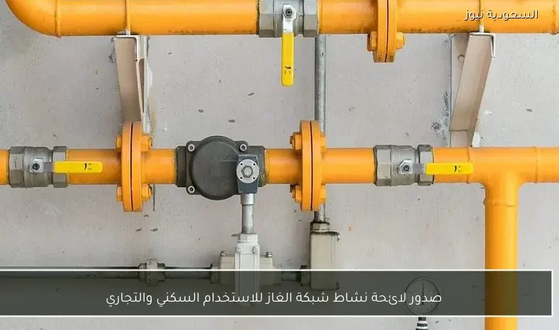 صدور لائحة نشاط شبكة الغاز للاستخدام السكني والتجاري
