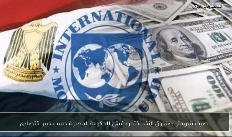 صرف شريحتي صندوق النقد اختبار حقيقي للحكومة المصرية حسب خبير اقتصادي